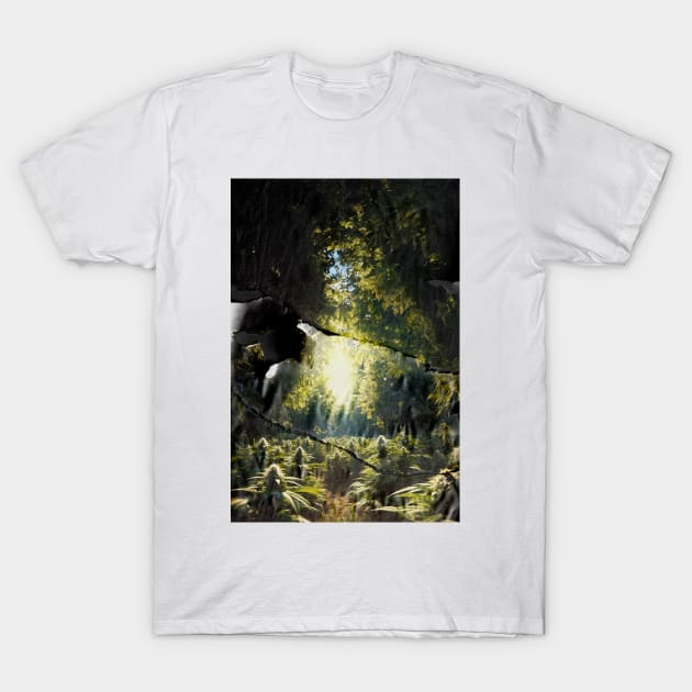 Broken Cannabis / Weed Plantation T-Shirt by Teravitha